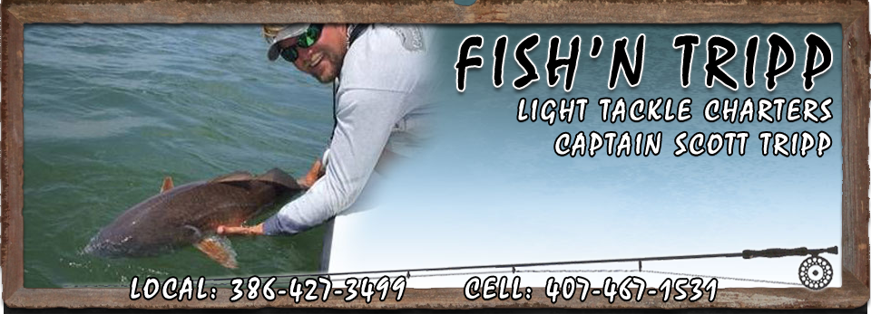Mosquito Lagoon and New Smyrna Beach Light Tackle Fishing Charters with Captain Scott Tripp