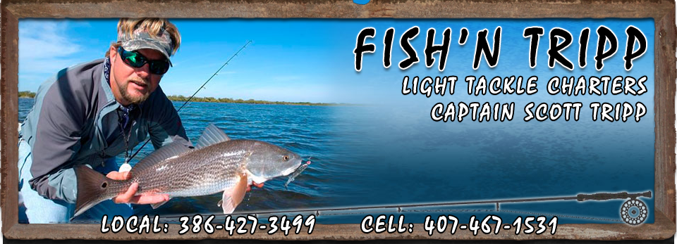 Mosquito Lagoon and New Smyrna Beach Light Tackle Fishing Charters with Captain Scott Tripp