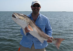 A Large Mosquito Lagoon Redfish