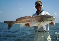 Scott with a big Mosquito Lagoon Redfish